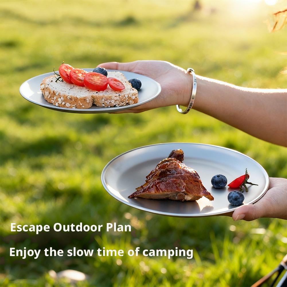 1/2Pcs Titanium Outdoor Campin - đánh giá và giá Camping Cooking Plate