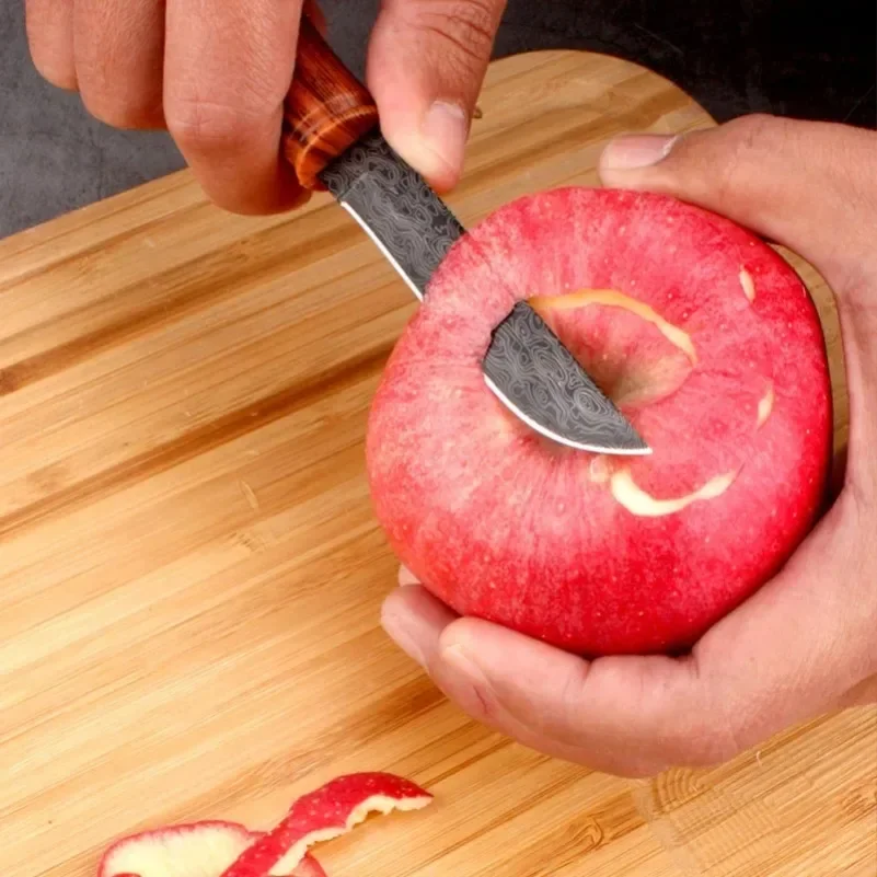 Utility Knife Slice Meat Fruit - đánh giá và giá Camping Cooking Multi Tool
