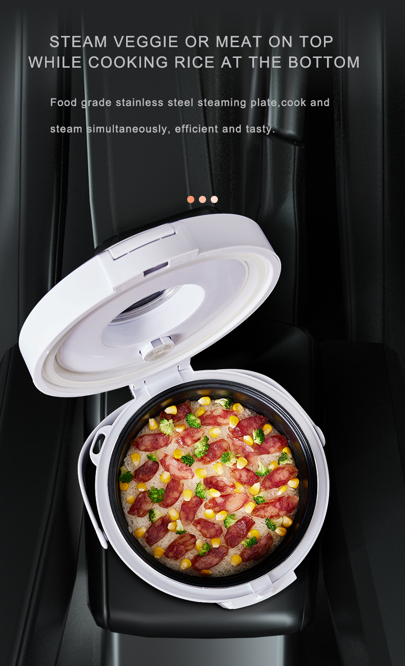 24V Rice Cooker  Truck Soup St - đánh giá và giá Camping No Cooking Meals