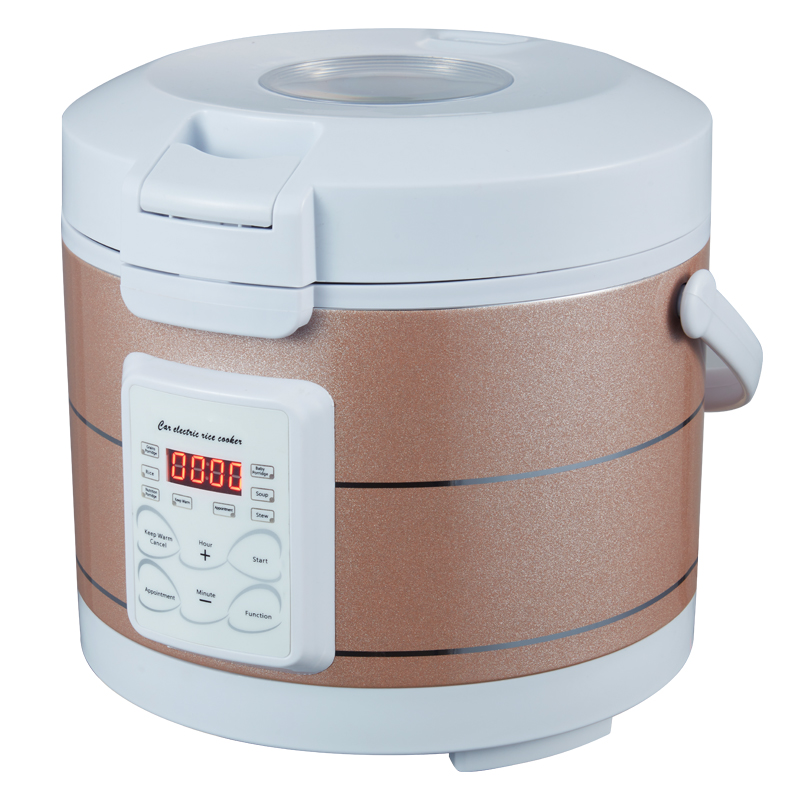 Rmier 12V 24V 220V Mini Rice C - đánh giá và giá Camping No Cooking Meals