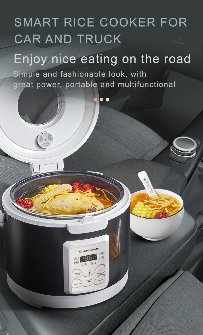 Rmier 12V 24V 220V Mini Rice C - đánh giá và giá Camping No Cooking Meals