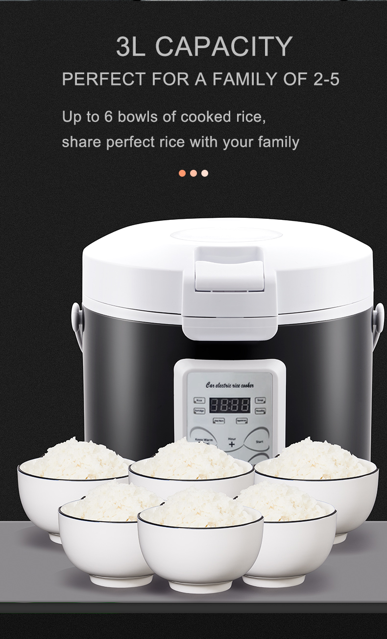 Rmier 12V 24V 220V Mini Rice C - đánh giá và giá Camping No Cooking Meals